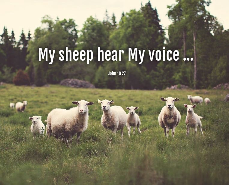 Knowing God’s Voice